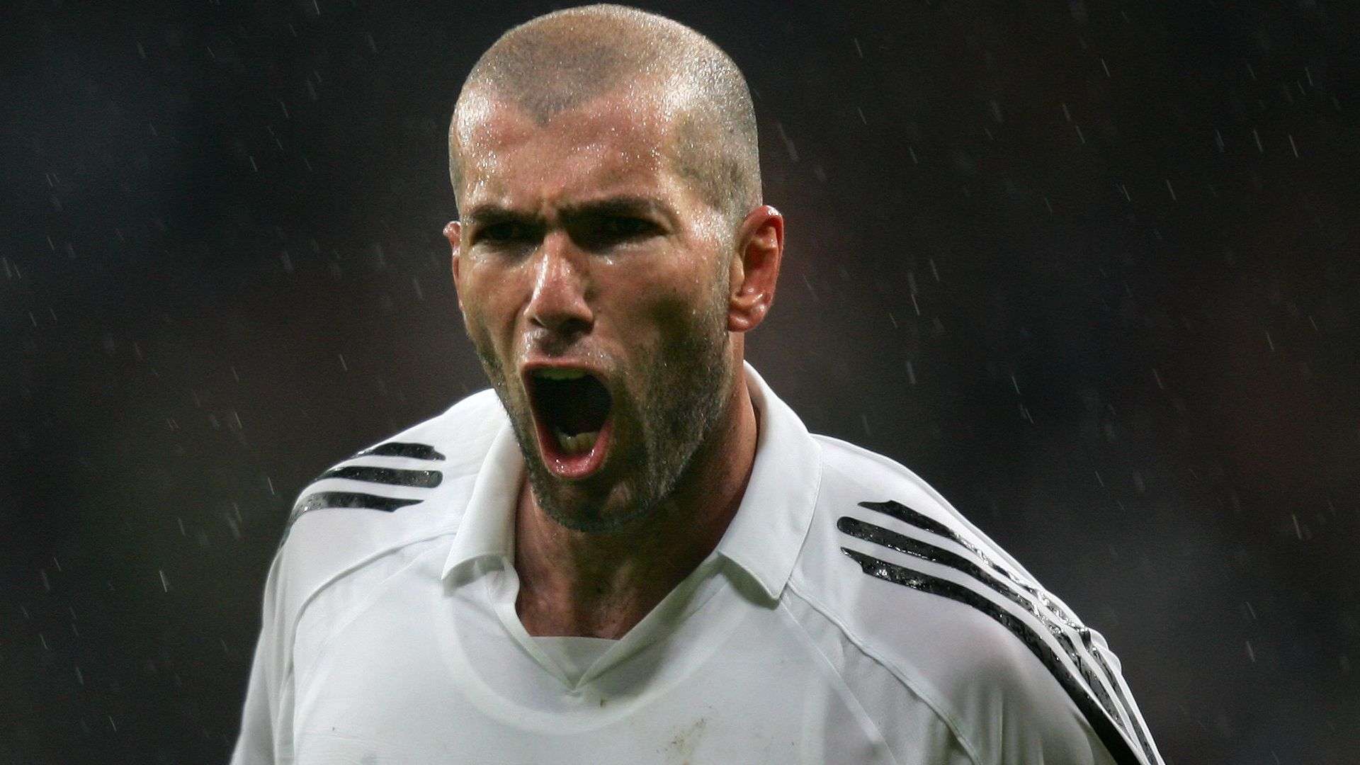 自从接手曼 自从接手曼